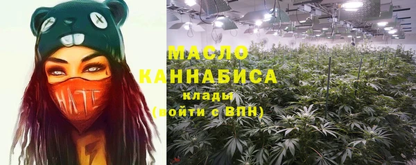 прущие грибы Аркадак