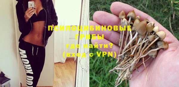 трава Армянск