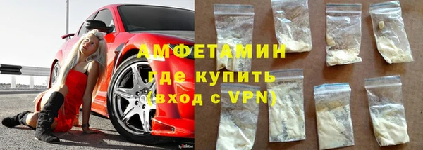 прущие грибы Аркадак
