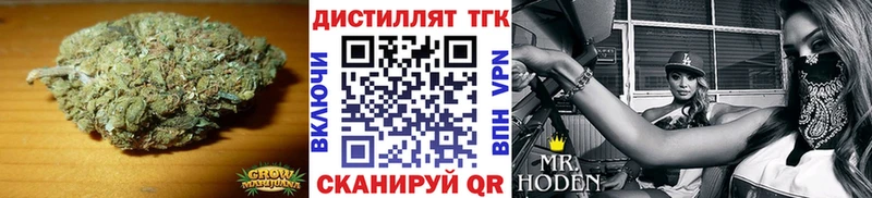 мориарти какой сайт  Слободской  Дистиллят ТГК гашишное масло 