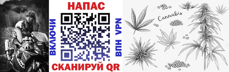 купить закладку  Слободской  Бошки Шишки ГИДРОПОН 